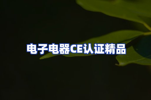 电子电器认证项目